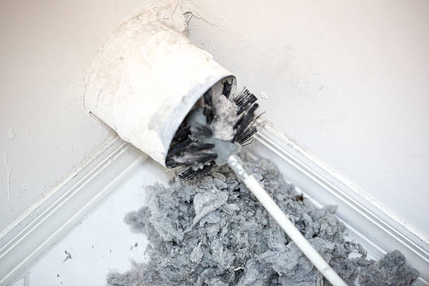 Best Professional Duct Cleaning Services  in Ellicott City, MD