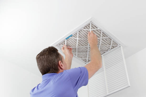 Best Local Air Duct Cleaning Services  in Ellicott City, MD